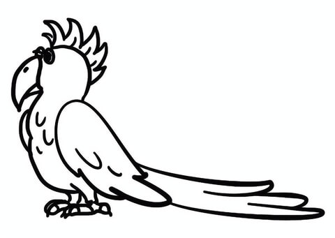 Cartoon Parrot Coloring Page